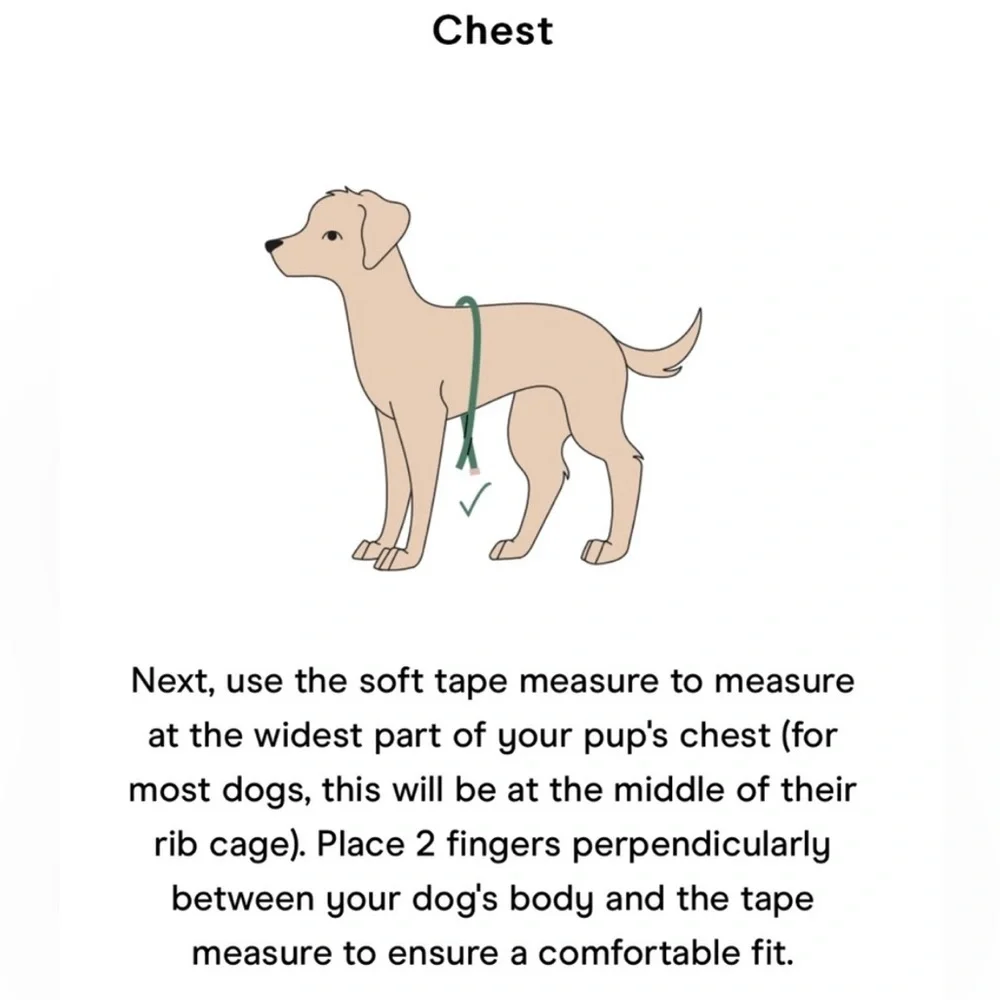 Wild One Dog Harness 3.0 - Large - Moss